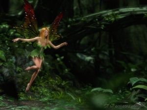 Fairy in the air